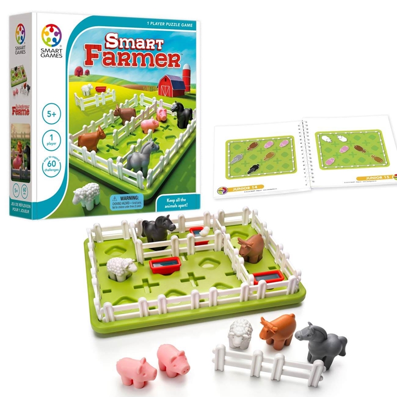 Jogo Desafio e Raciocínio Puzzle Beach - Smart games, Mini Cientista  Brinquedos - Brinquedos Educativos e Criativos